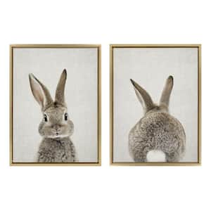 Bunny Portrait and Bunny Tail on Linen by Amy Peterson Framed Animal Canvas Wall Art Print 24 in. x 18 in. (Set of 2)