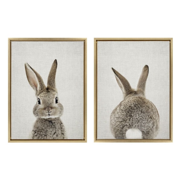 Kate and Laurel Bunny Portrait and Bunny Tail on Linen by Amy Peterson Framed Animal Canvas Wall Art Print 24 in. x 18 in. (Set of 2)
