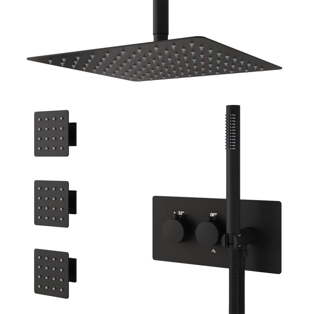 3-Spray 12 in. Ceiling Dual Fixed and Handheld Shower Head with Body Jets in Matte Black, Thermostatic Mixing Valve price history on PriceWatchPro