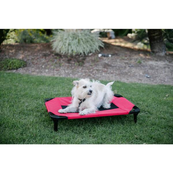 elevated small dog bed