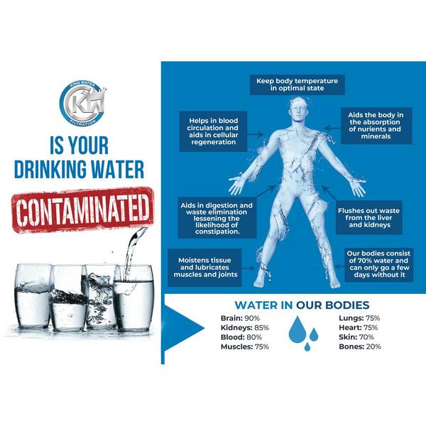 Wayde King Water Filtration Platinum Series 20 Gpm 6 Stage Municipal Water Filtration And Salt Free Conditioning System Treats Up To 4 Bathrooms Wk Pla Mun 1054 The Home Depot