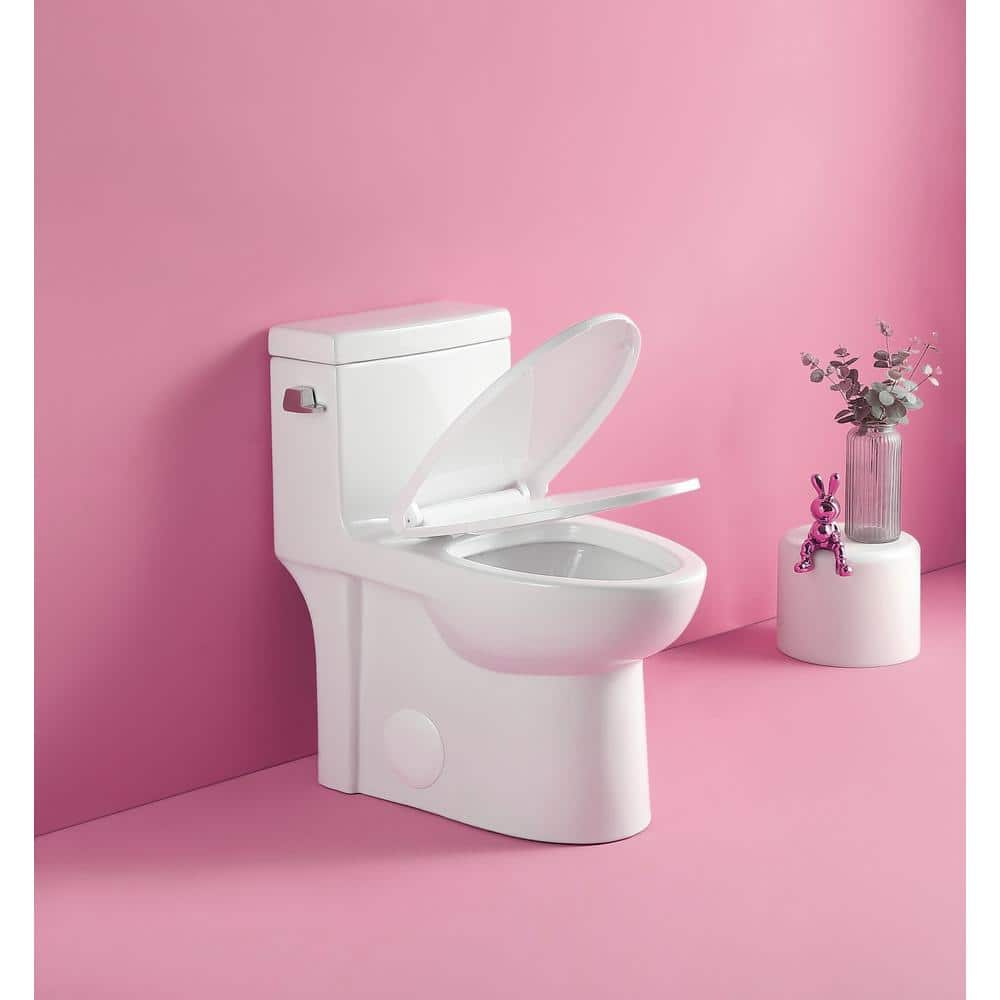12 in. One-Piece 1.28 GPF Single Flush Elongated Toilet in Gloss White, Slow-Close Seat Included price history on PriceWatchPro