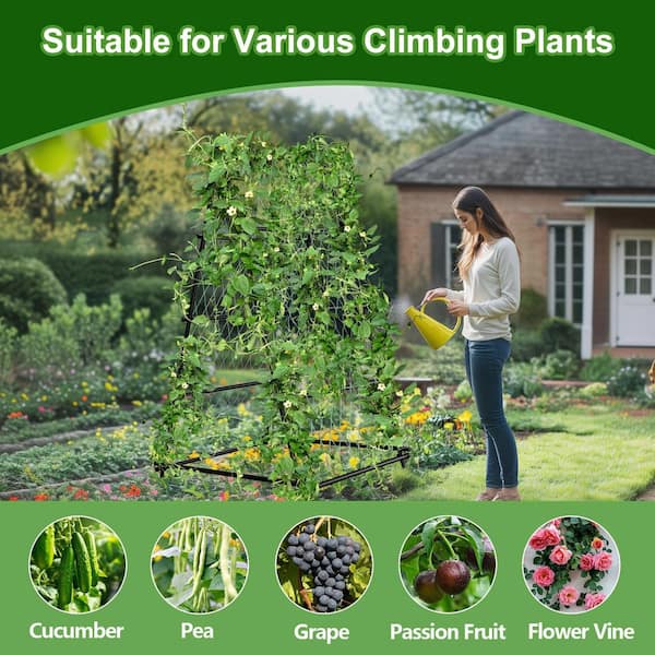 AESOME 69 in. Tall Metal Garden Arch Trellises, Cucumber Trellis