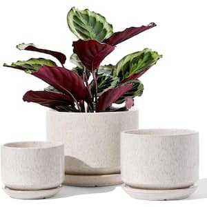 Modern 6.8 in. L x 6.8 in. W x 5.3 in. H Reactive Glaze Beige Ceramic Round Indoor Planter (3-Pack)