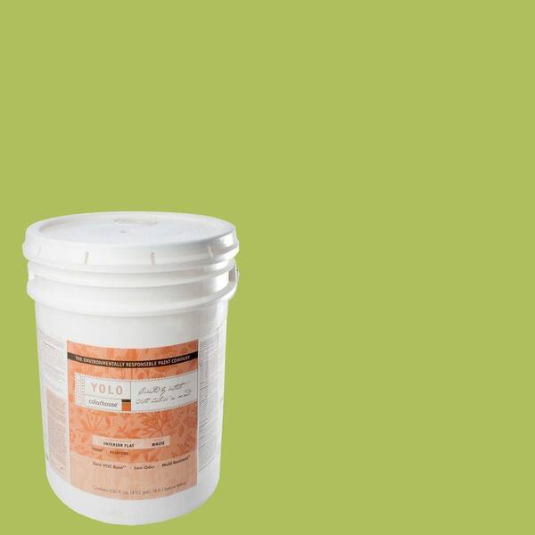 YOLO Colorhouse 5-gal. Thrive .03 Flat Interior Paint-DISCONTINUED