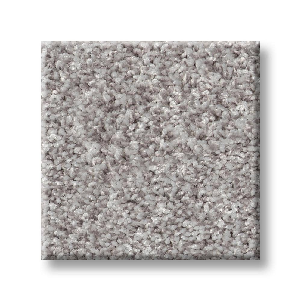 8 in. x 8 in. Texture Carpet Sample - Cherry on Top I - Color Night Air price history on PriceWatchPro