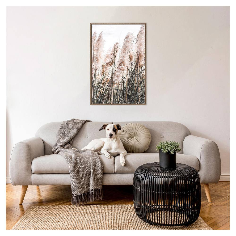 Pampas Grass Photography on Canvas with Bronze Frame