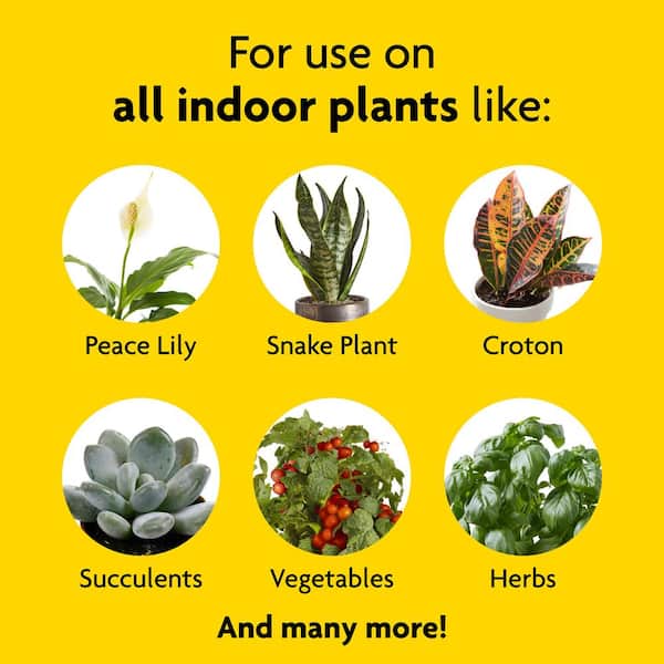 Indoor Potting Mix and Indoor Plant Food