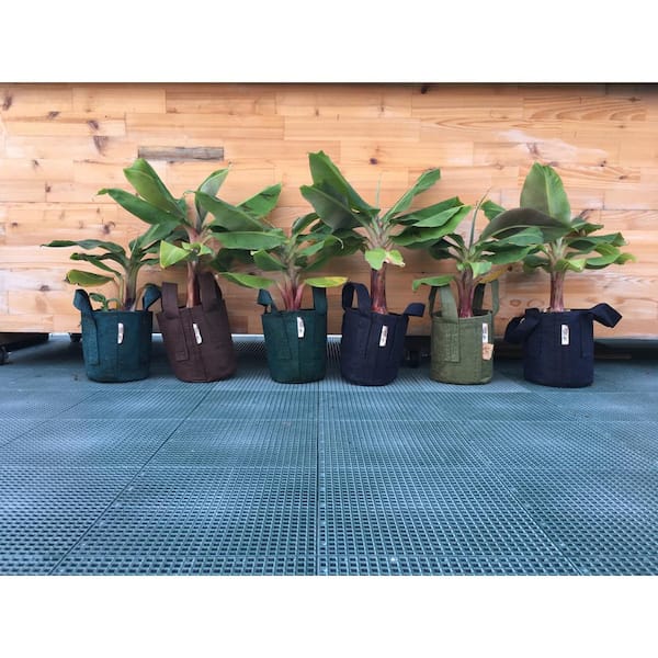 5 Pack Grow Bags Fabric Pots Root Pouch with Handles Planting Container 3 Gallon 