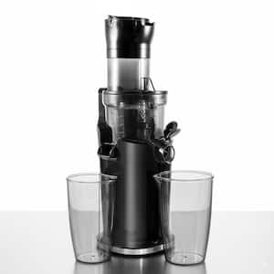 Anybear Cold Press Juicer, 200W Masticating Slow Juicer 4.3 in. Feed Chute Fit Whole Fruits Vegetables Easy to Clean with Brush 54C