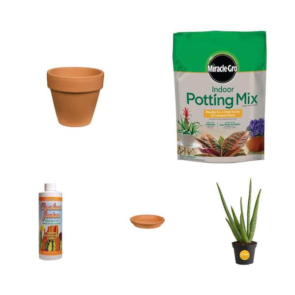 8 in. Terra Cotta Clay Pot, 6 qt. Potting Mix, 16 oz. Cactus Juice, 8 in. Saucer and Aloe Vera Plant Combo