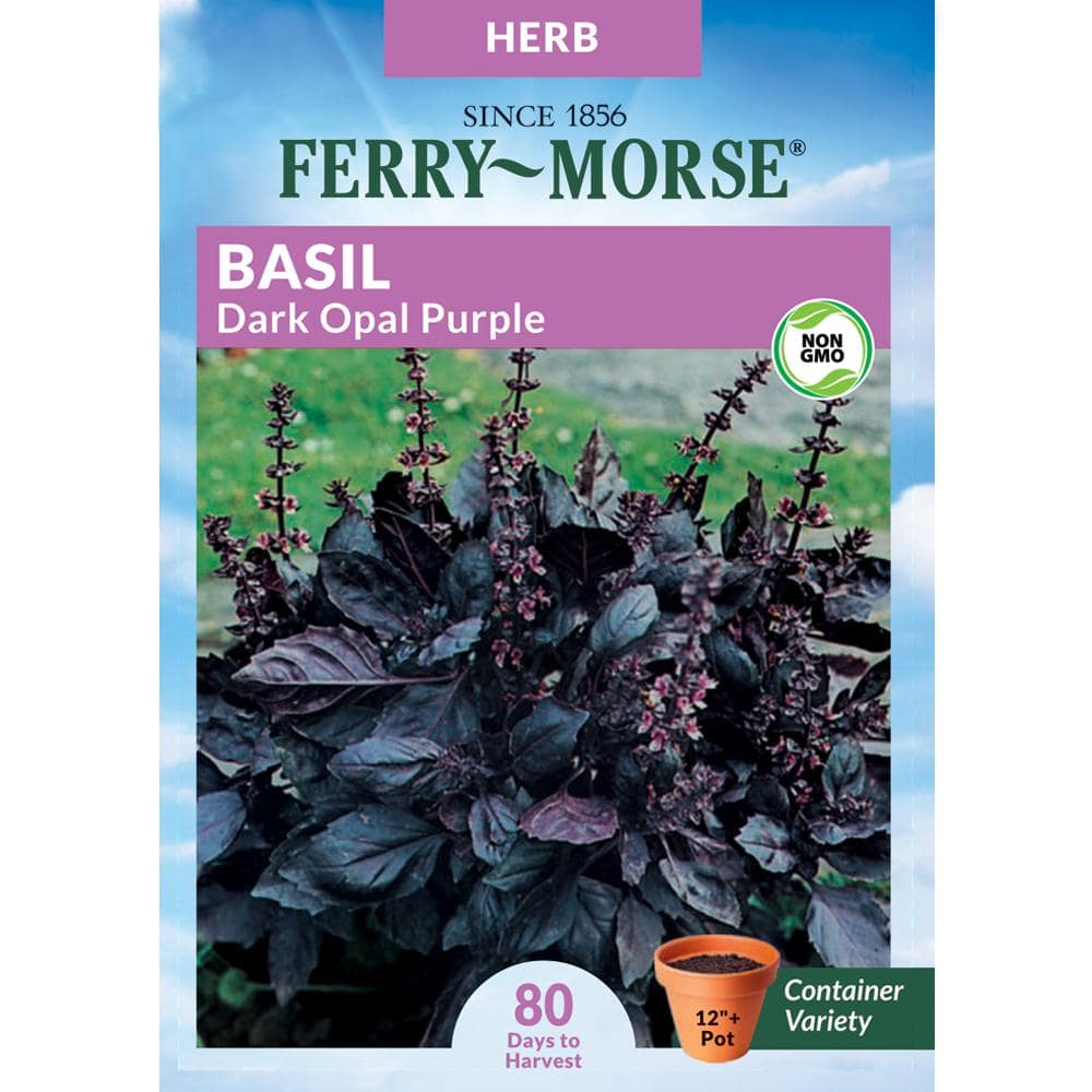 Ferry Morse Herb Basil Purple Dark Opal Seed 80 The Home Depot