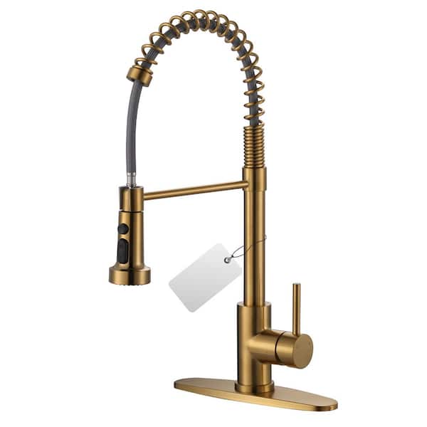 WOWOW Single Handle Pull Down Sprayer Kitchen Faucet with Pull Out Spray Wand in Gold
