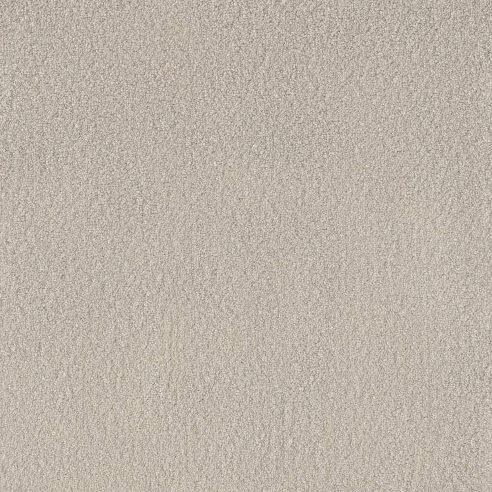 8 in. x 8 in. Texture Carpet Sample - Soft Breath Plus II -Color Broadway price history on PriceWatchPro