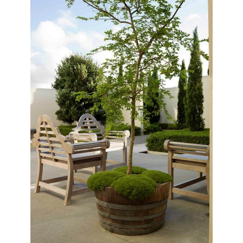 Extra Large Recycled Oak Wood Barrel Planter