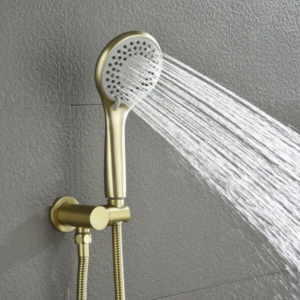 waterpar Single-Handle Wall Mount 2-Spray Round Dual Fixed and