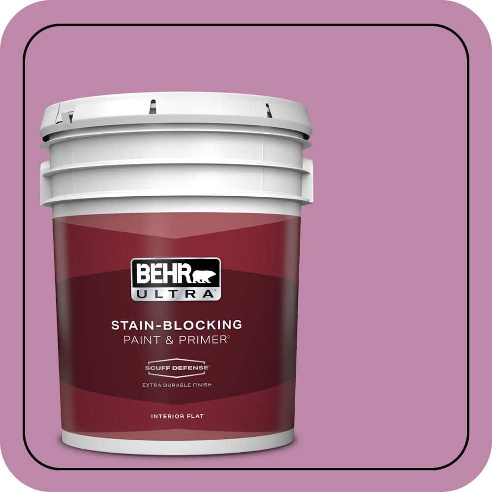 5 gal. #M120-5 Rosy Extra Durable Flat Interior Paint & Primer price history on PriceWatchPro