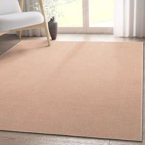 Coral 5 ft. 3 in. x 7 ft. 3 in. Flat-Weave Plain Solid Modern Area Rug