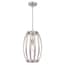 Westinghouse Holly 1-Light Brushed Nickel Pendant 6369800 - The Home Depot