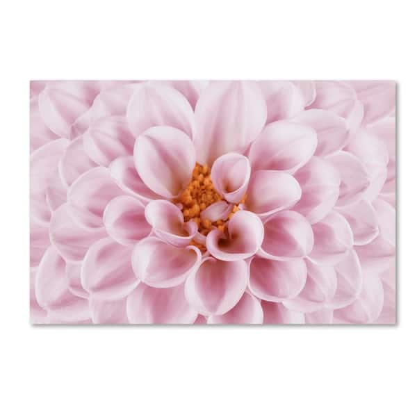 Trademark Fine Art 12 in. x 19 in. "Pink Dahlia" by Cora Niele Printed Canvas Wall Art