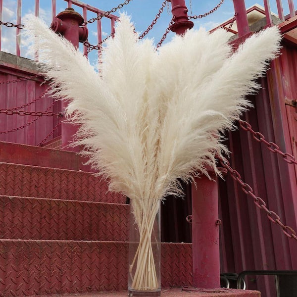 40in White Pampas Grass Tall Decor-Pompas Floral, Tall Pampas Grass for Floor Vases, 10pcs