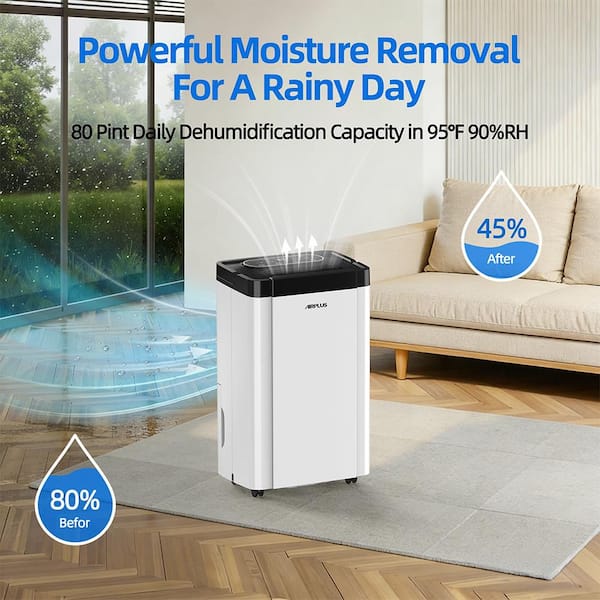 48 pt. 4,500 sq. ft. Dehumidifier for Home in. White with Drain Hose, Bucket for Basement, with Sleep Mode, 24H Timer