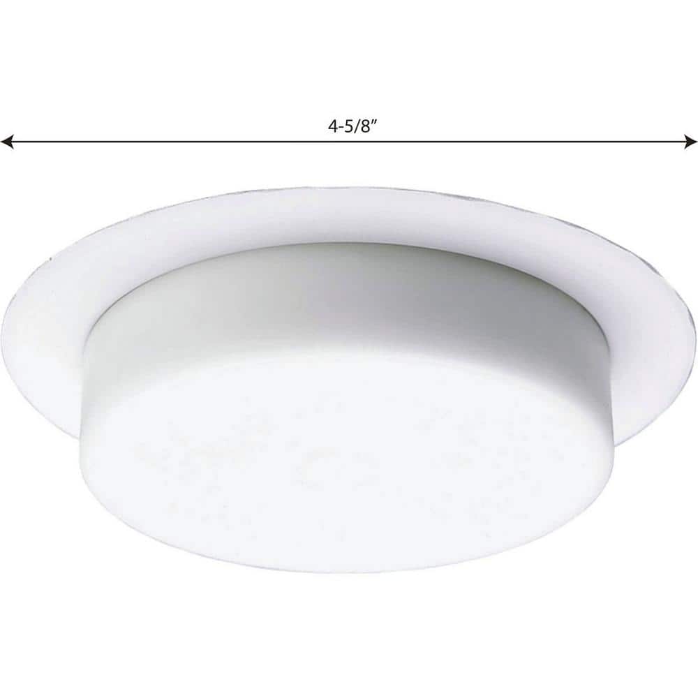 Bright White Aluminum 4.75" Indoor/Outdoor Incandescent Shower Light