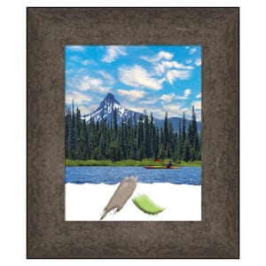 Dappled Light Bronze Wood Picture Frame Opening Size 11x14 in.
