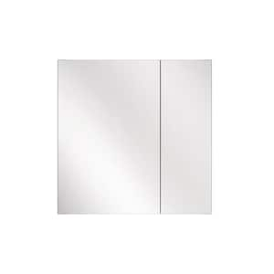 30 in. W x 30 in. H Rectangular Silver Aluminum Recessed/Surface Mount Medicine Cabinet with Mirror