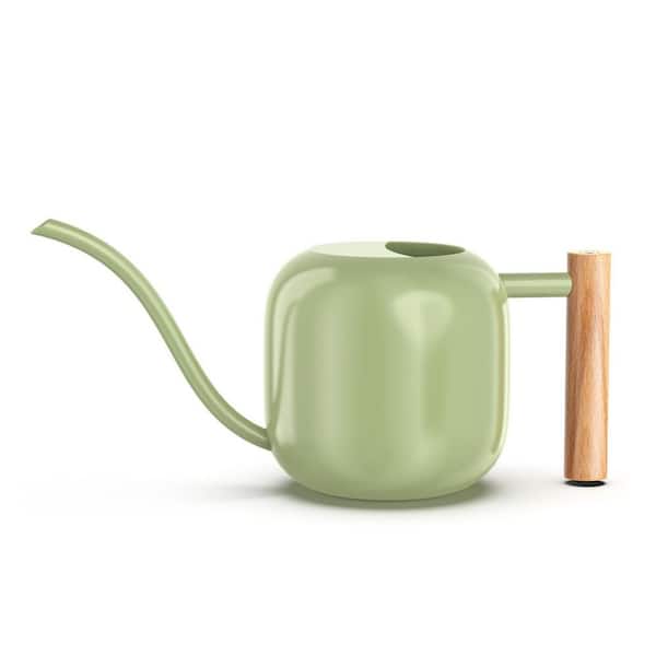 0.32 gal. Sage Green Stainless Steel Watering Can with Long Spout and Wooden Handle for Indoor Plants 1 Piece