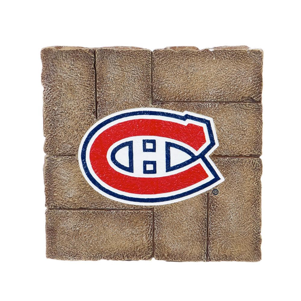 https://images.thdstatic.com/productImages/f2be024f-e64a-4d56-a408-980f9592e0ea/svn/team-sports-america-fake-rocks-844364gs-64_1000.jpg