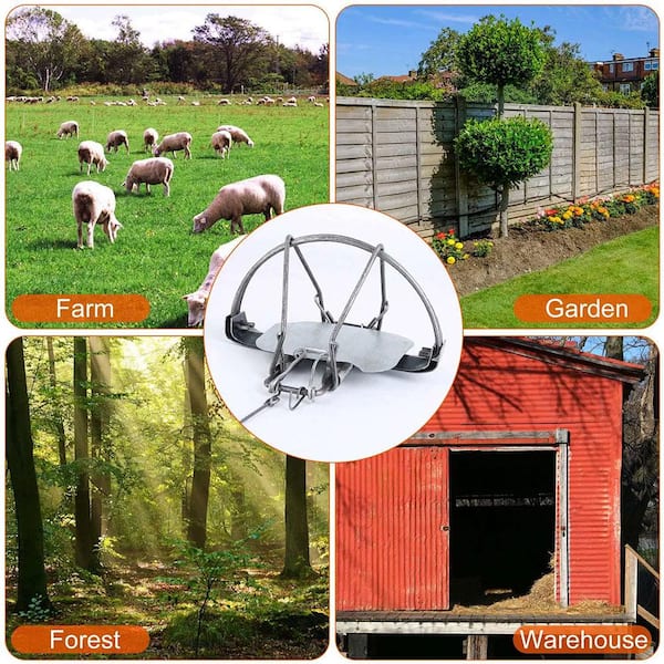 Gp Traps Rabbit Cat Trap Live Animal Trap For Raccoons - Heavy Duty Dog Proof Trap For ...