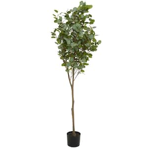 70 in. H Eucalyptus Artificial Tree with Realistic Leaves and Black Plastic Pot