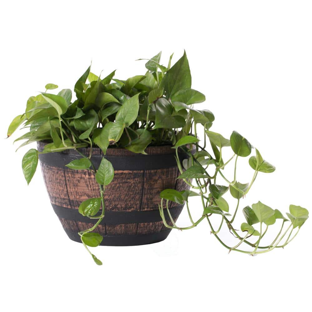 Small Brown Plastic Outdoor Rustic Half Barrel Flower Garden Planter Bowl