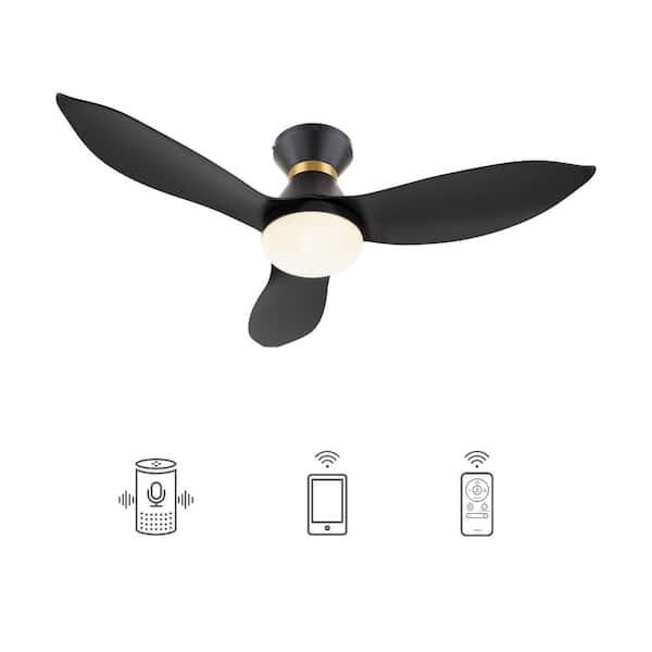CARRO Daisy 45 in. Integrated LED Indoor Black Smart Ceiling Fan with Light and Remote, Works with Alexa and Google Home