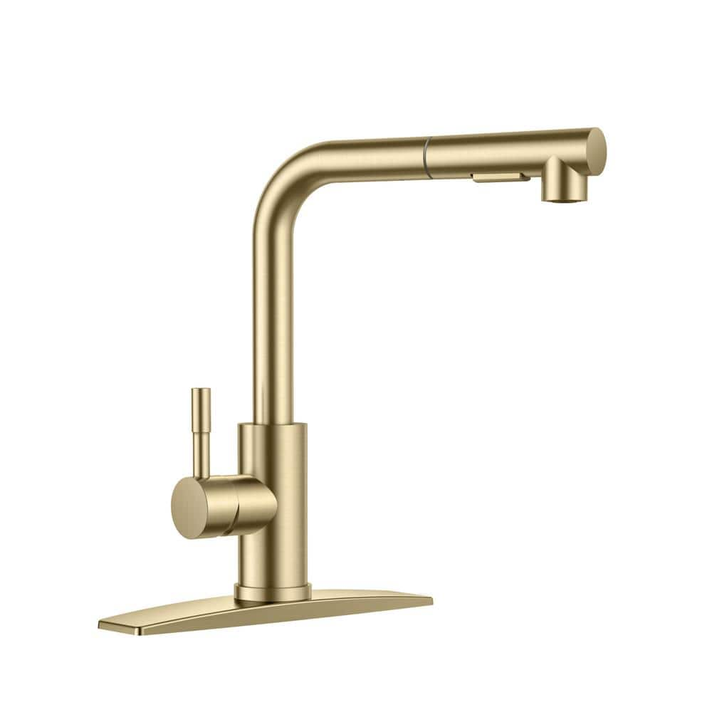 Single Handle Pull Down Sprayer Kitchen Faucet with Pull Out Spray Wand in Gold -  androme, H0025G