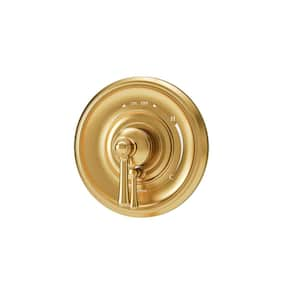 Braston Wall Mounted Shower Valve Trim with Volume Control Lever in Brushed Bronze (Valve Not Included)