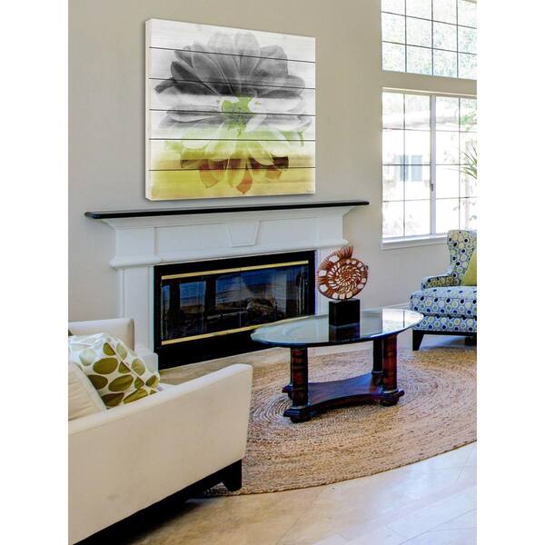 24 in. H x 24 in. W "Bloom" by Parvez Taj Printed White Wood Wall Art