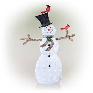 74 in. Tall Mesh Snowman Decor with Red Birds and Cool White LED Lights