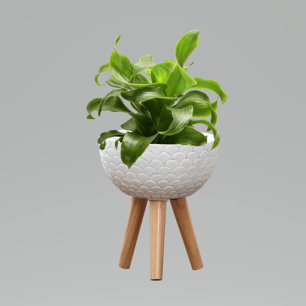 White Scallop Embossed Round Planter with Wood Legs