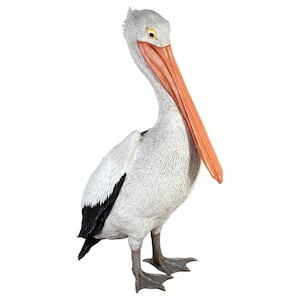 34 in. H The Giant White Pelican Statue