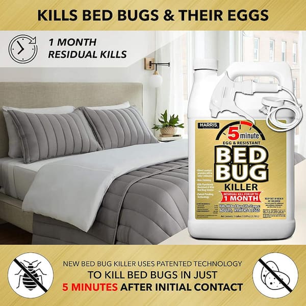 Harris Bed Bug Trap Value Pack BBTRPVP - The Home Depot