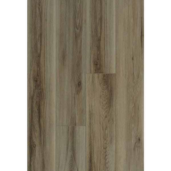 Shaw Trendsetter 7 In W Sassafras, Shaw Luxury Vinyl Plank Flooring Home Depot