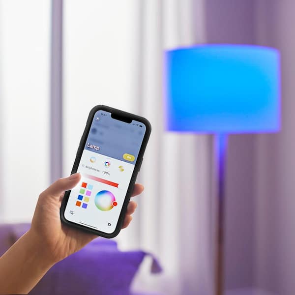 60-Watt Equivalent Smart A19 E26 Base Color Changing CEC LED Light Bulb with Voice Control (1-Bulb) Powered by Hubspace