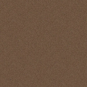 Watercolors II - Pea Gravel - Brown 38.4 oz. Polyester Texture Installed Carpet