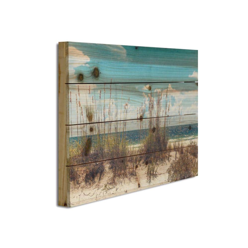 Coastal Sand Dunes Landscape Print on Fir Wood