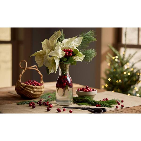 METROLINA GREENHOUSES 1 Qt. Christmas Poinsettia White with Gold