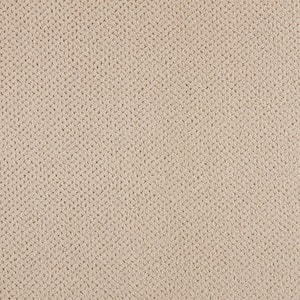 Pretty Penny  - Mist - Gray 50 oz. Triexta Pattern Installed Carpet