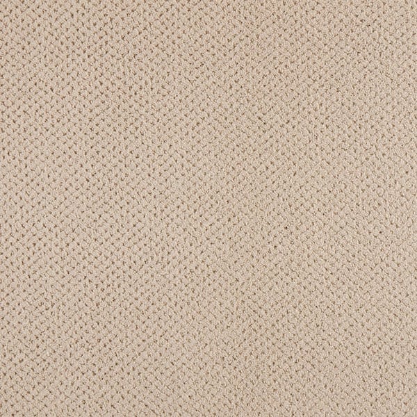 Pretty Penny  - Mist - Gray 50 oz. Triexta Pattern Installed Carpet