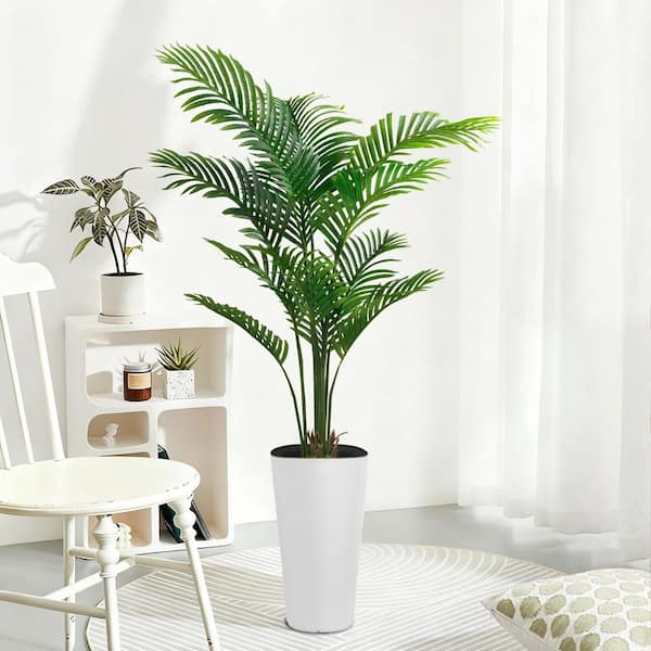 snake plant variety Laurentii Snake Plant: Easy Variegated Live Houseplant - (4.25” Pot) – –  Altman Plants